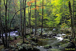 Middle Prong Little River, Blount County