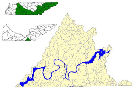 Lower Tennessee River Watershed Map