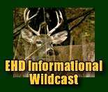 EHD Wildcast